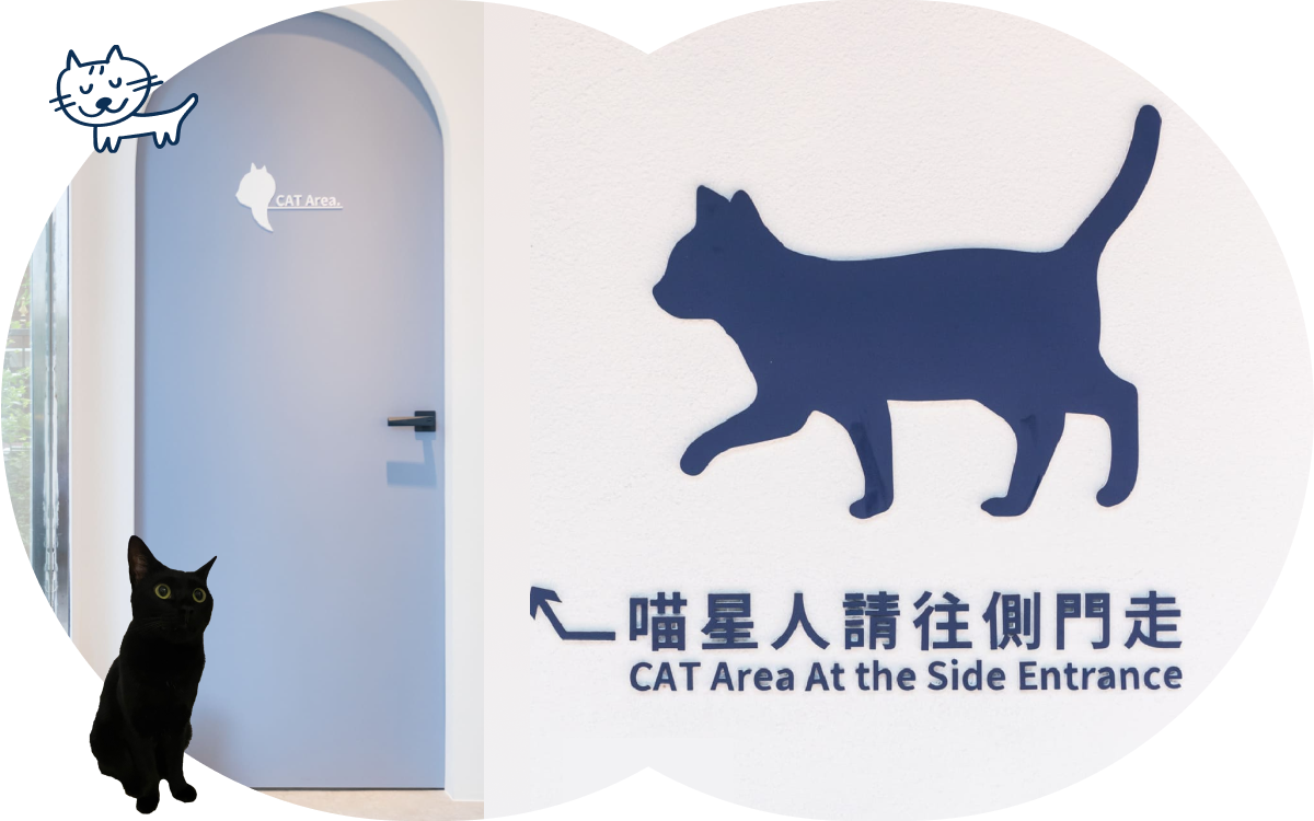 喵星人請走這邊