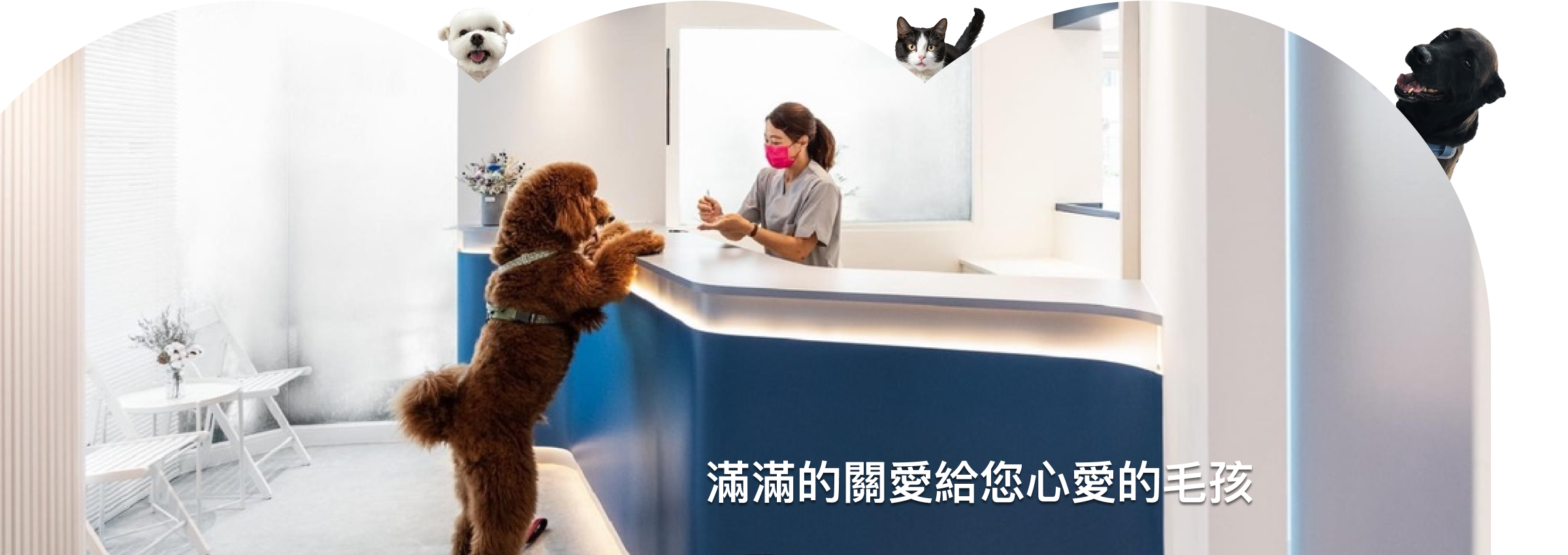 同心動物醫院