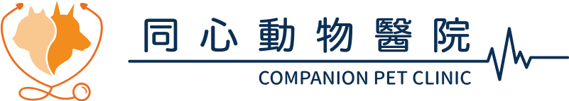 同心動物醫院 Xinbei - 犬貓專科醫療團隊