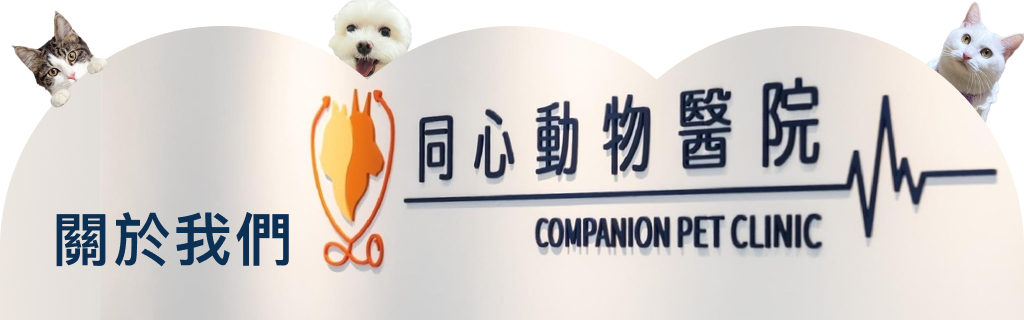 關於我們