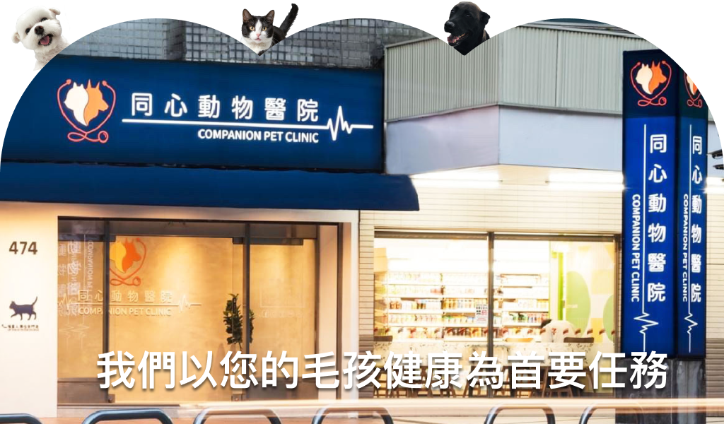 同心動物醫院