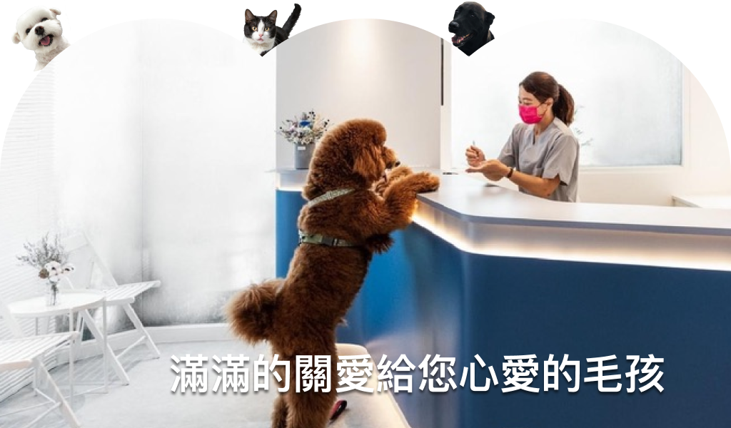 同心動物醫院