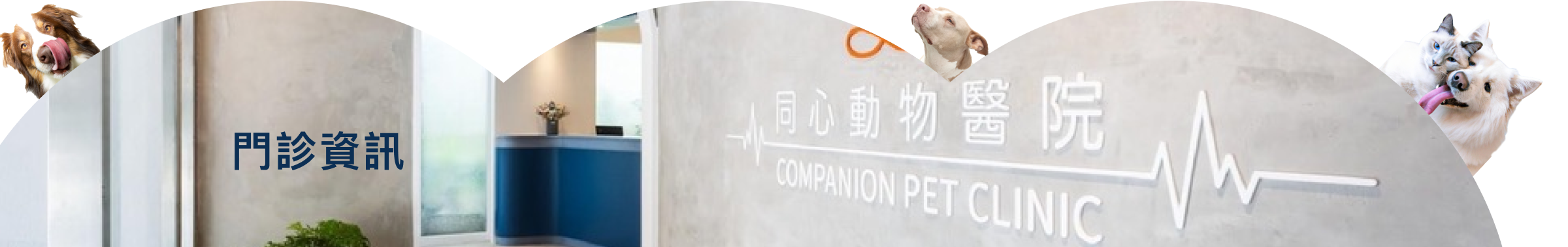 門診資訊