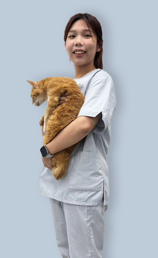 Kelly 醫師助理